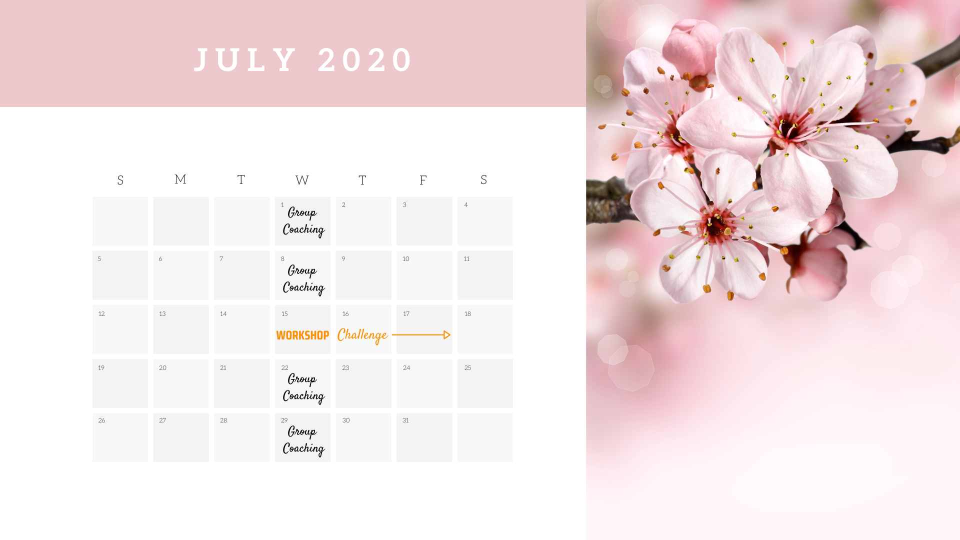 Pastel Blue and Pink Fashion Photo Daily Calendar (1)
